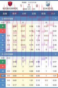 世界杯热门球队投注分析与趋势洞察