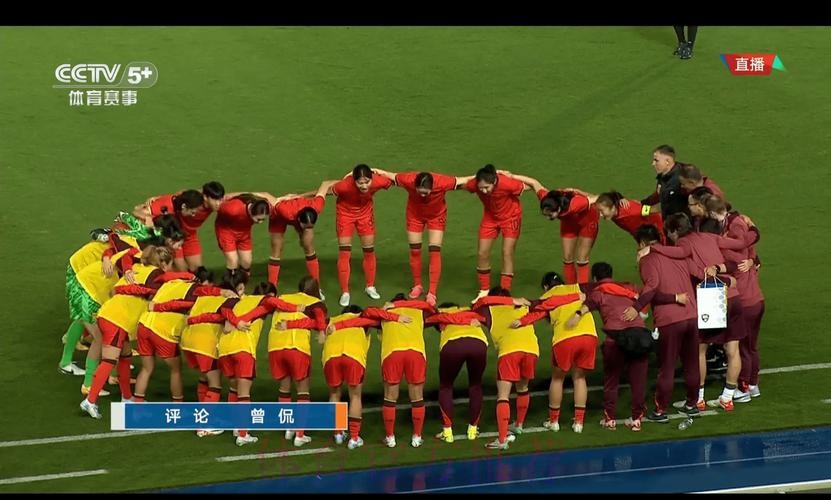 世界杯高清直播，尽情领略赛场风采